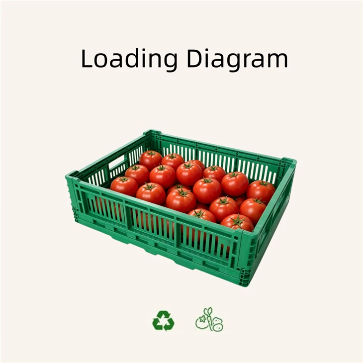 Foldable Ventilated Plastic Crate best